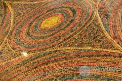 Sun Over the Rainbow Colored-Pencil Coffee Table