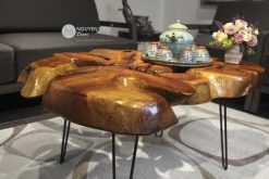 The Miracle Nature Coffee Table