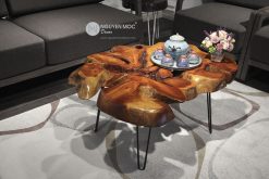 The Miracle Nature Coffee Table
